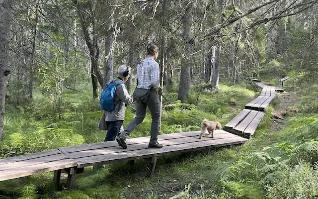 Crown Princess Victoria wore a stretch shirt by Fjallraven. Dog Rio. Tyresta National Park