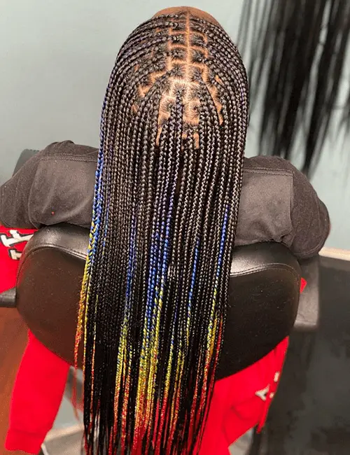 Rainbow Knotless Braids