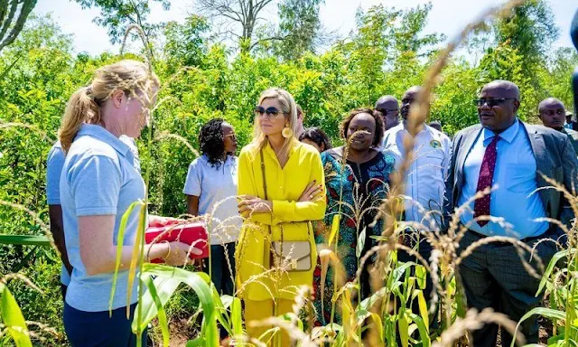 Queen Maxima wore Max Mara yellow poplin shirt and Ginosa yellow pants. Giuseppe Zanotti ballerina flat. Mango Raffia earrings