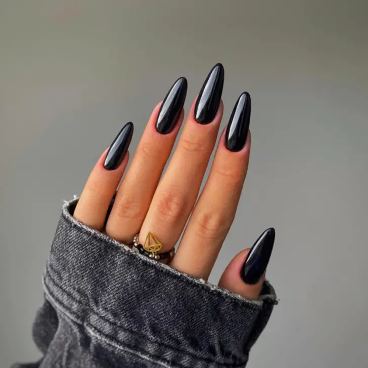 Fall Nail Designs 2023 / Glossy Black by Pegi Nails