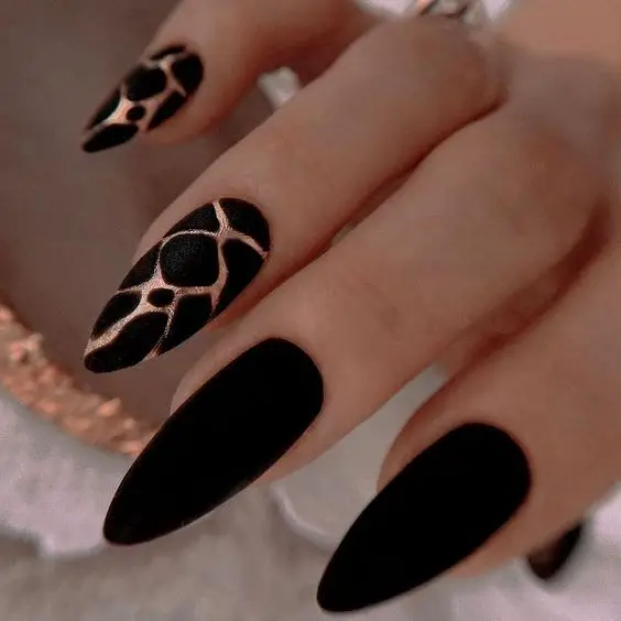 A Stunning Collection of 26+ Black Nail Designs ideas