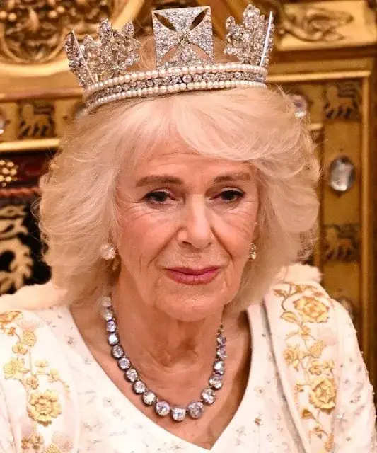 King Charles wearing the Imperial State Crown and the Robe of State, Queen Camilla, wearing the George IV State Diadem