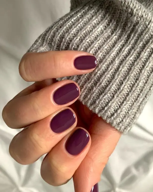 45+ Stunning January Nail ideas 2024: Plum-themed Nails by Megan – Rich and Luxurious Nail Designs